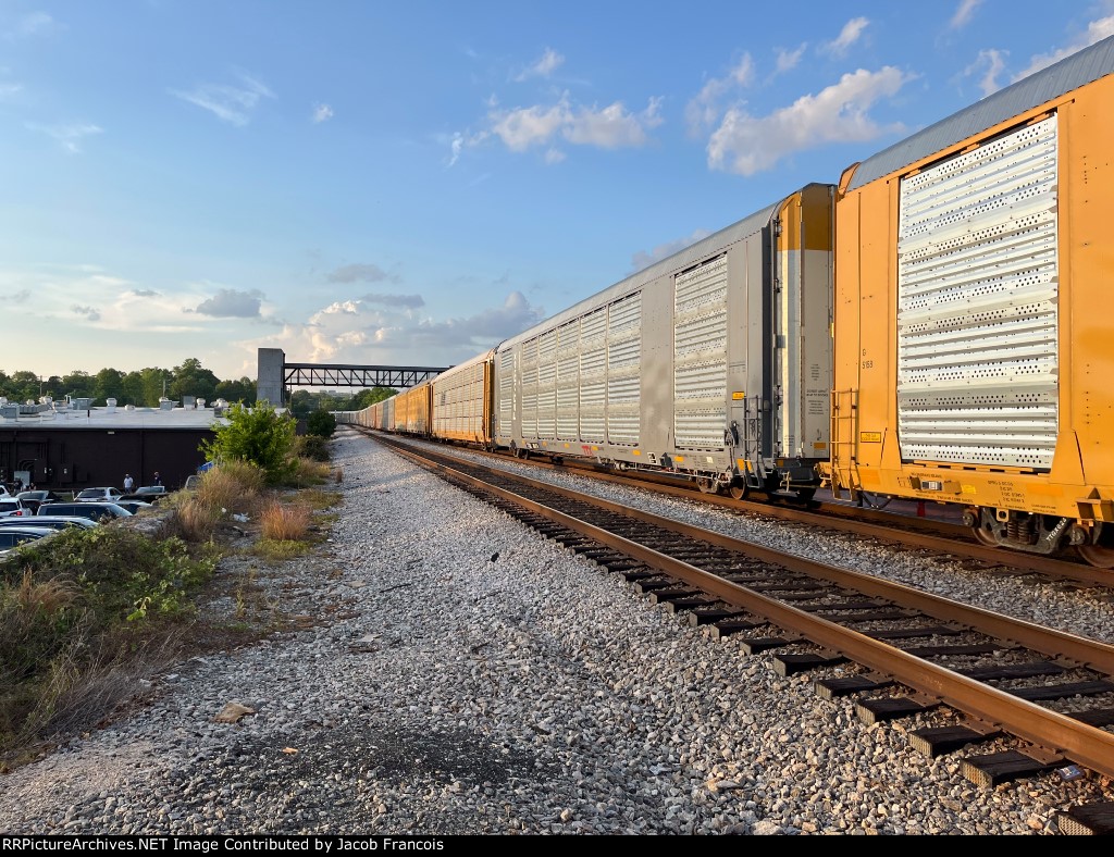 TTGX 824776